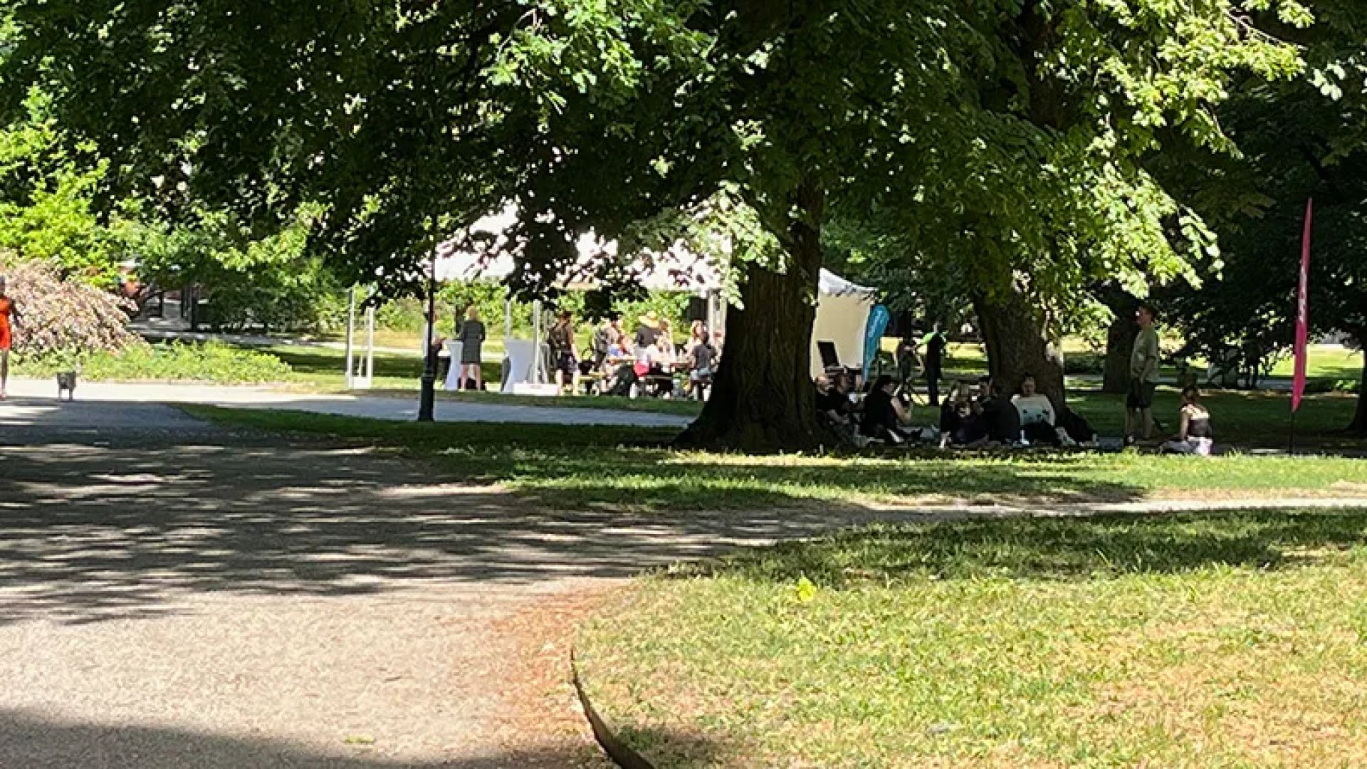 Outdoor Office Day